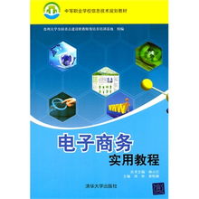 電子商務(wù)實(shí)用教程 信息技術(shù)與戰(zhàn)略實(shí)務(wù)的中職生指南